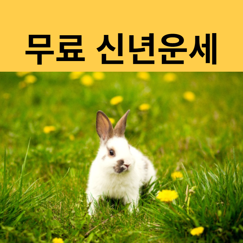 무료신년운세