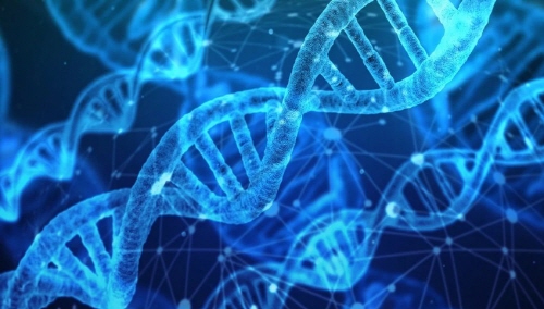 친자확인 유전자검사 비용 / 기관 / 기간 / 검체 / 신청방법 / 서류