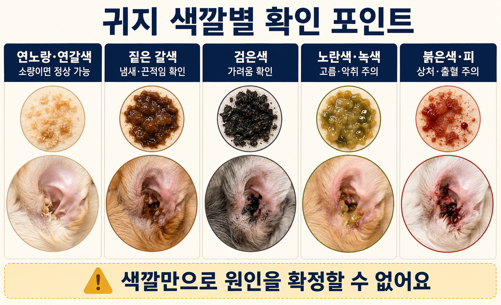 강아지 귀지의 연갈색&middot;갈색&middot;검은색&middot;노란색&middot;녹색&middot;붉은색별 확인 사항