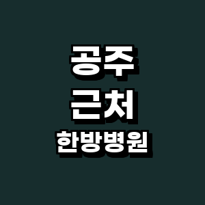 공주시 한방병원