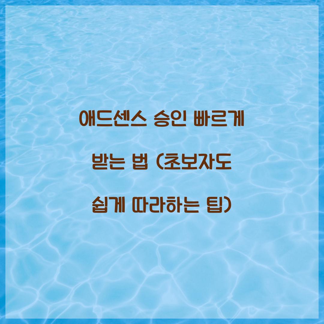 애드센스 승인 빠르게 받는 법