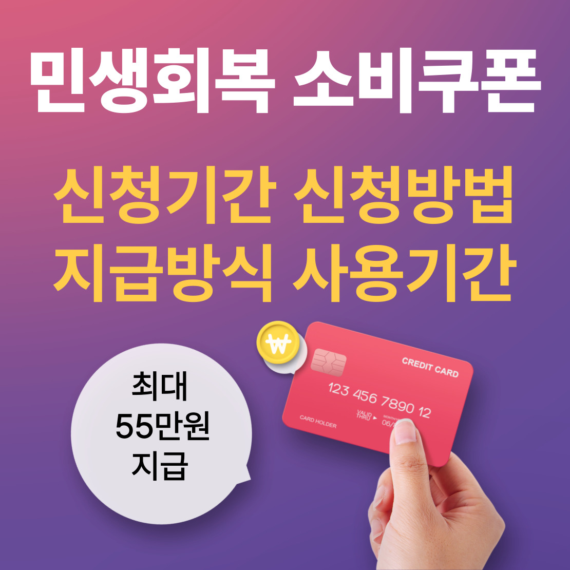 민생회복 소비쿠폰