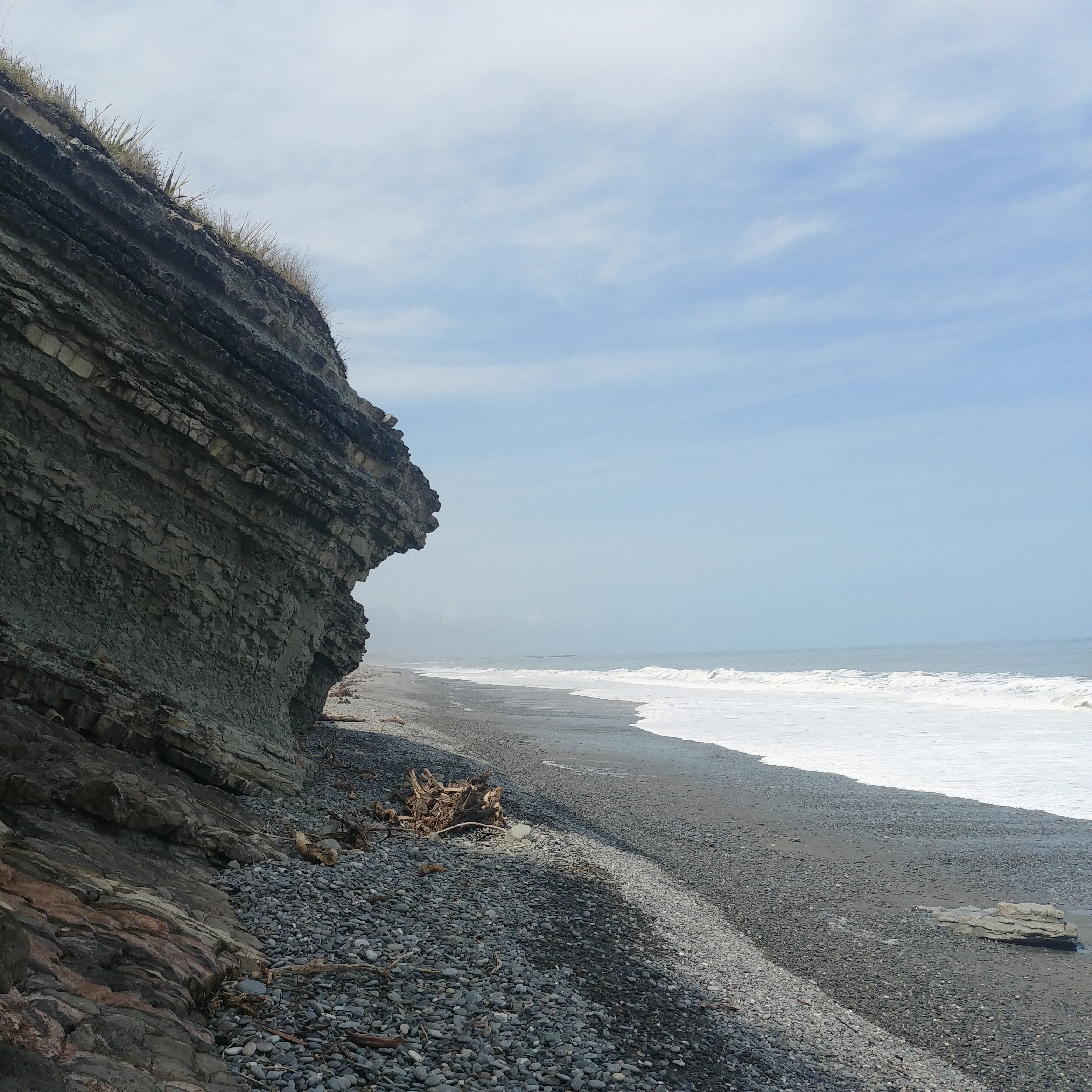 뉴질랜드 해안 산책로 Point Elizabeth Walkway