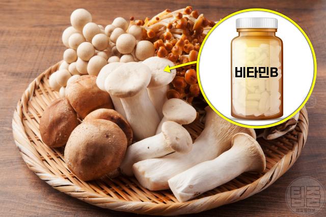 입병에 좋은 영양제 비타민b