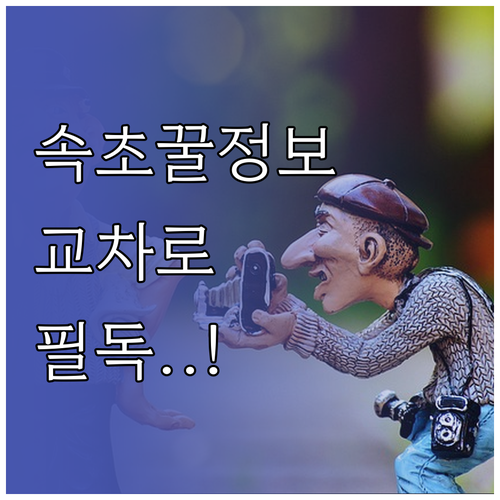 속초 지역 구인구직 부동산 정보 교차..