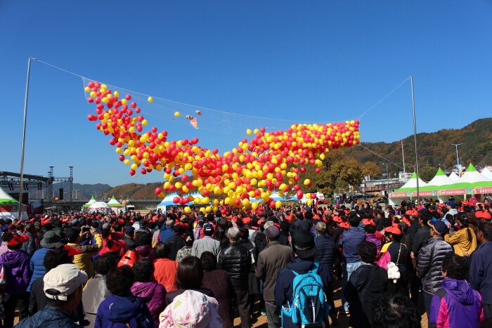 청송사과축제 - 행사