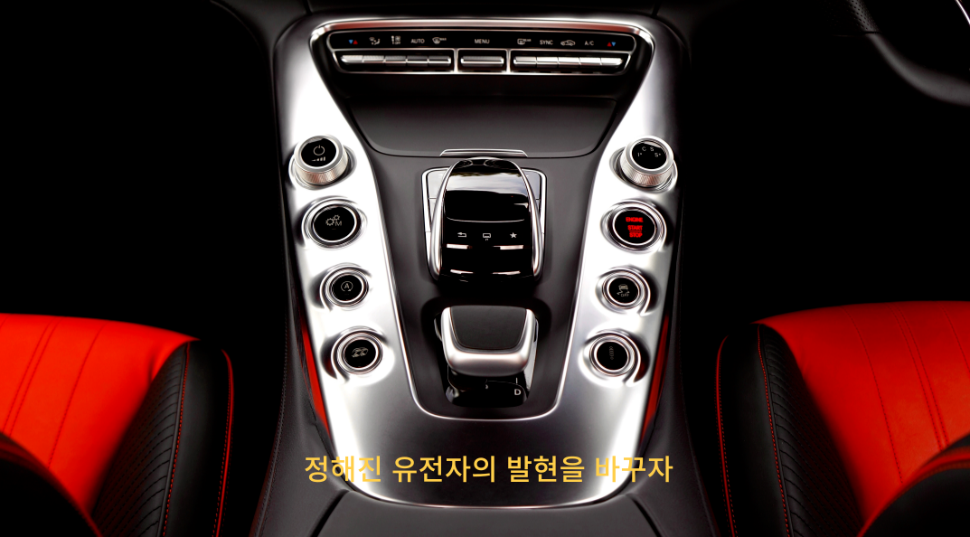 암치료의 새로운 패러다임 후성유전학