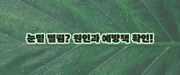 눈밑 떨림 원인 8가지와 예방 방법 꼭 알아두세요!