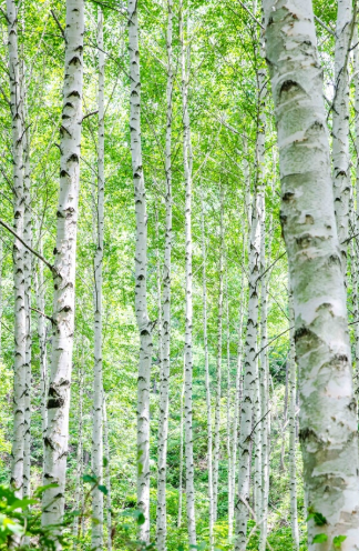 강원도 가볼만한곳 베스트10