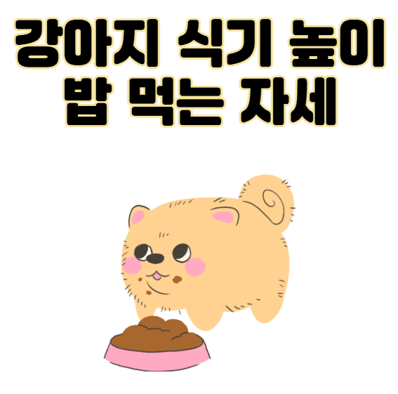 강아지 식기 높이와 올바른 밥 먹는 자세