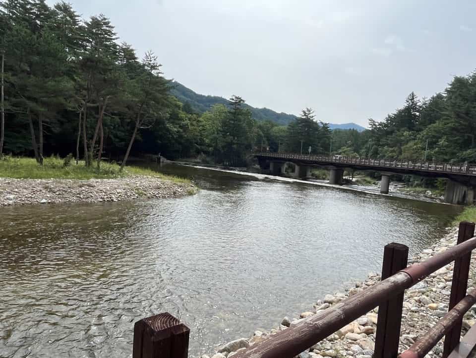 월정사 전나무 숲길 다리