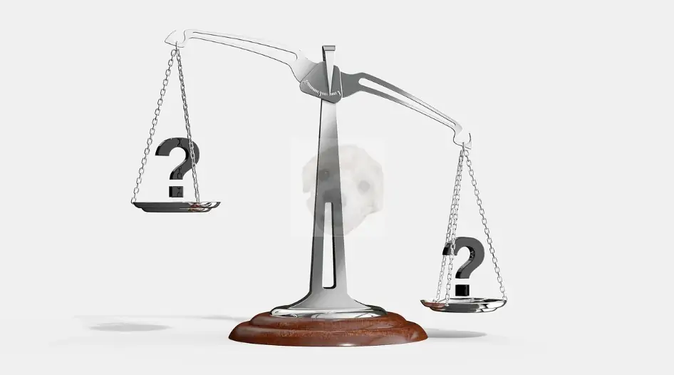 저울로 리스크 재는 것을 그만하겠다는 사진