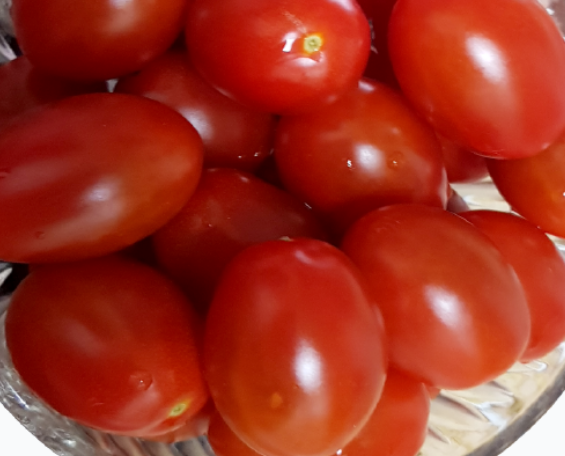 Alt 속성 문제 해결 설명 이미지