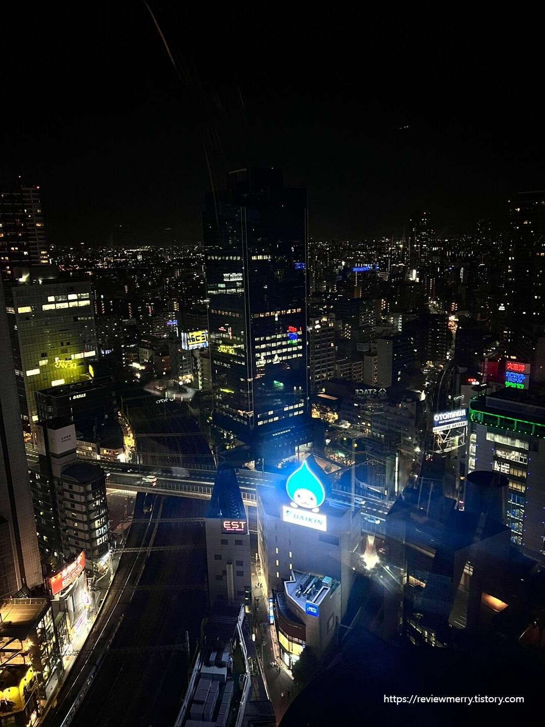 대관람차에서 본 야경