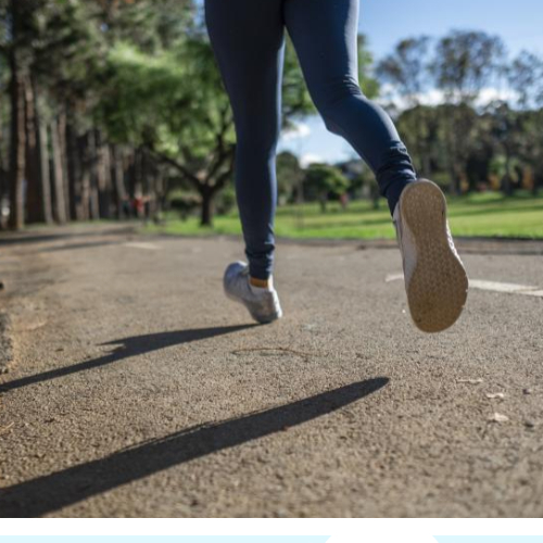 스위치온다이어트