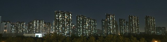 동대표-22