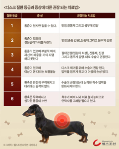 강아지 MRI
