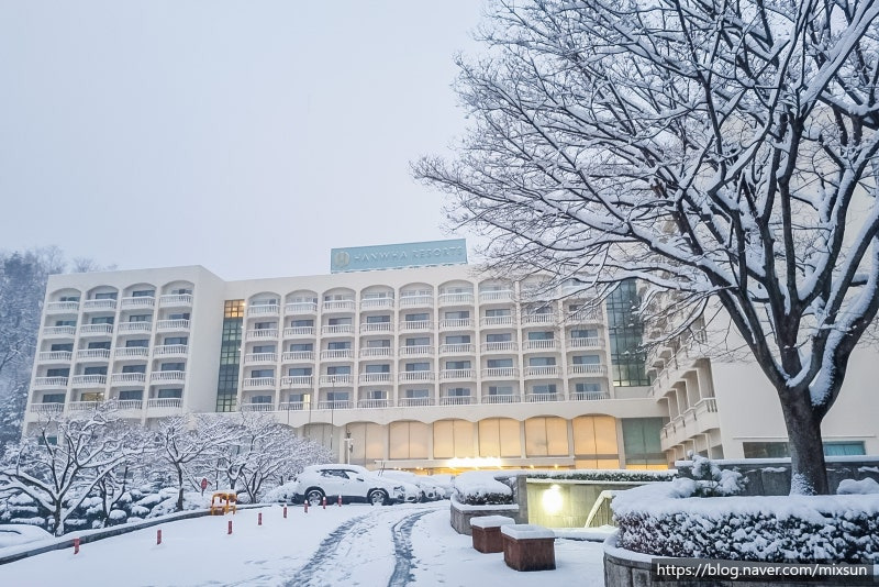 용인 크리스마스 갈만한곳