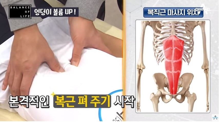 복근 펴 주기