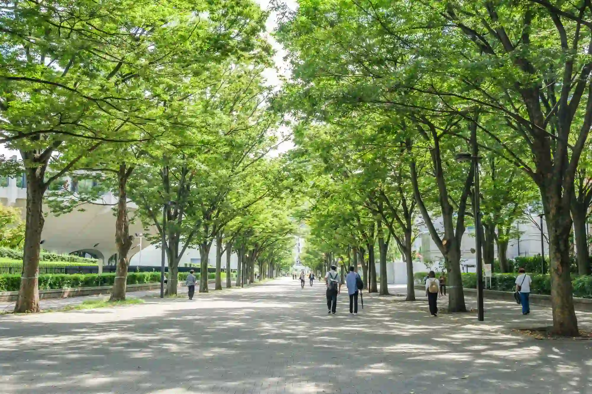 시부야역에서 요요기 공원까지 걸어서 이동!