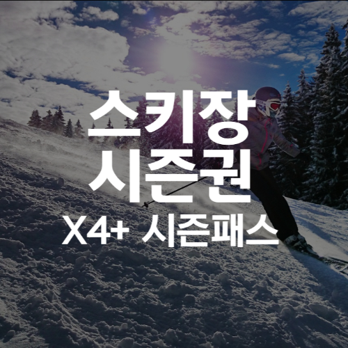 스키장 시즌권 대표 사진