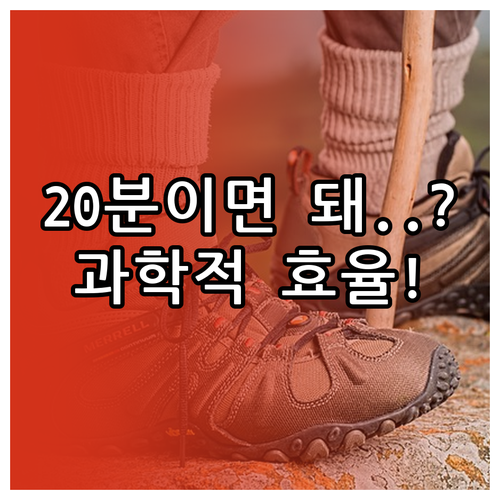20분 전신 루틴의 과학적 효율 초보..