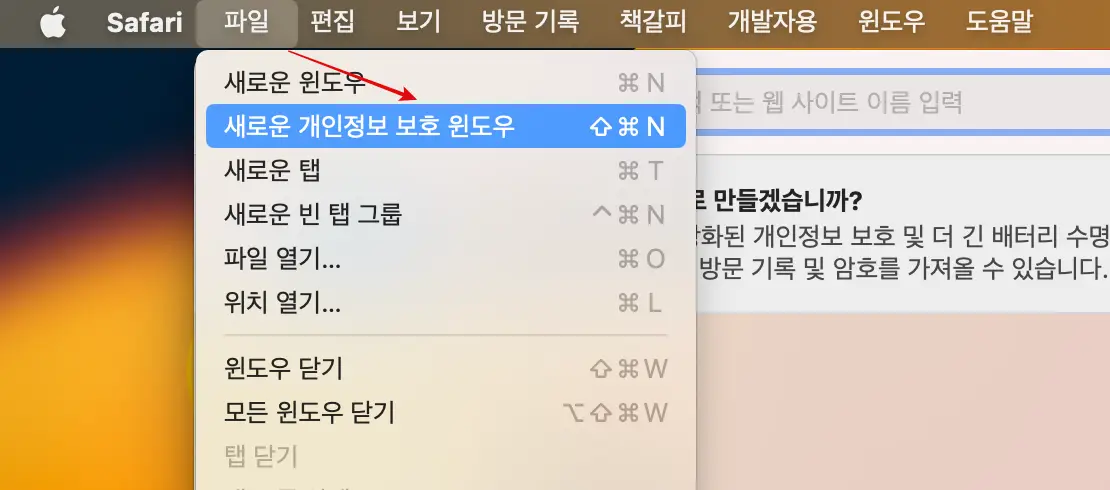 새로운 개인정보 보호 윈도우