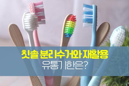 칫솔재활용-썸네일