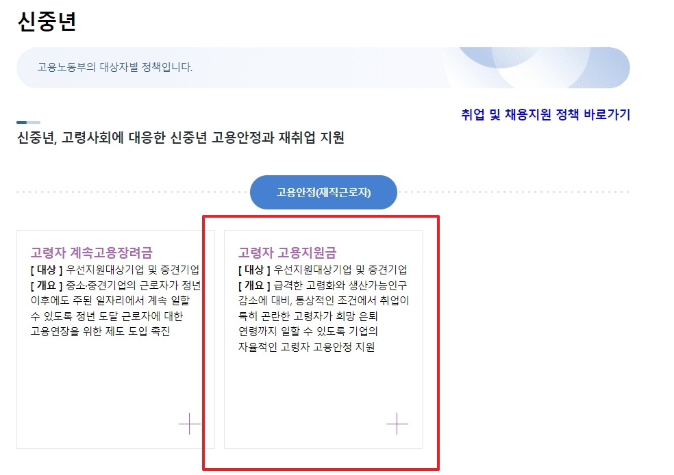 신중년 정책 페이지 내 고령자 고용지원금 항목 선택