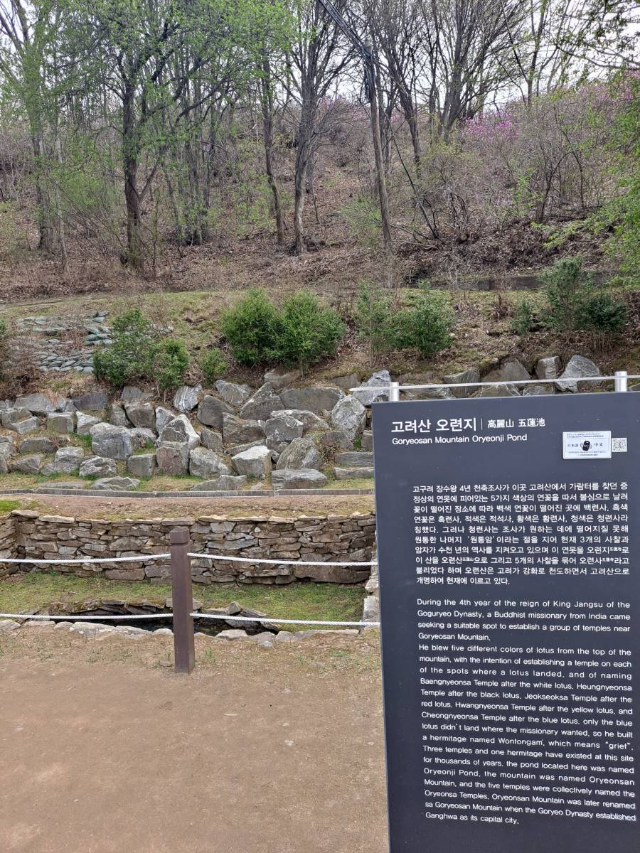 고려산 오련지