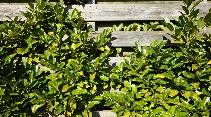 전선 점검 및 예방 조치