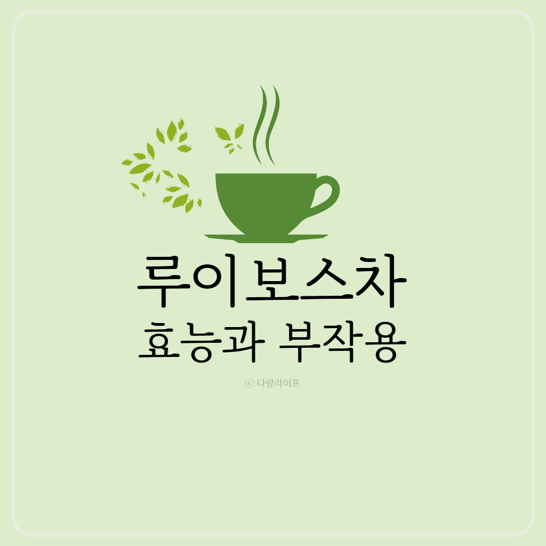 루이보스티 효능 부작용 루이보스차