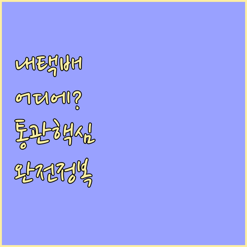 마이테레사 통관 문의처 및 관세청 유..