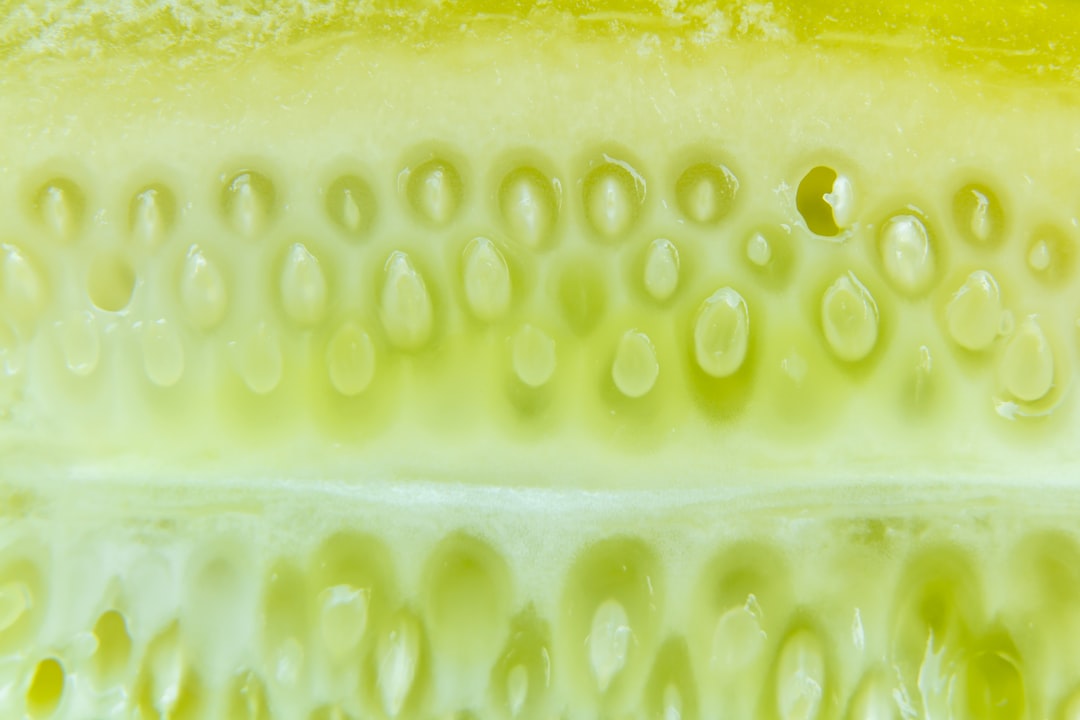 Cucumber