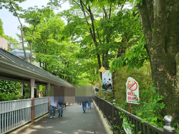 판다월드-가는길