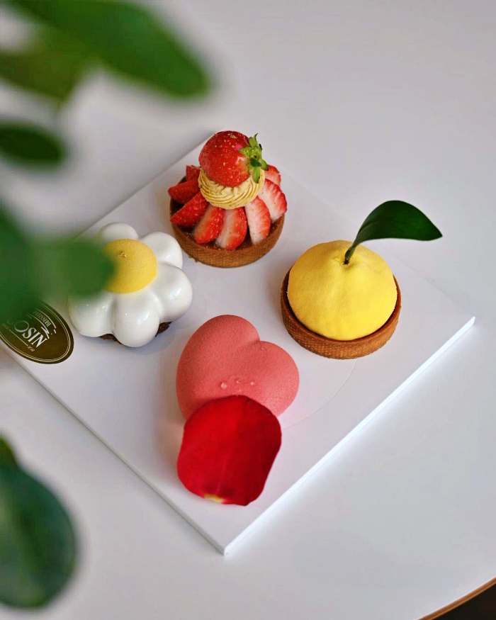 토요일은 밥이좋아 토밥좋아 대전 프랑스 디저트 쁘띠갸또 맛집