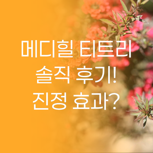 메디힐 티트리 앰플 솔직 후기! 민감