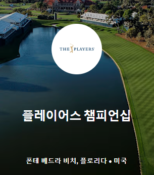더 플레이어스 챔피언십