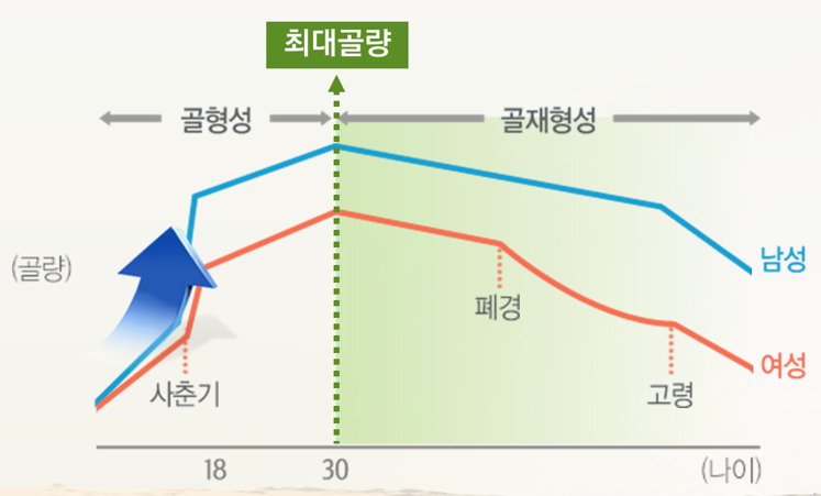 나이에 따른 골밀도