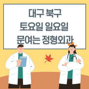 대구 북구 토요일 일요일 정형외과 진료 문여는 병원 리스트