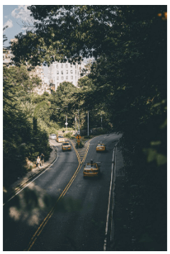 테슬라 로보택시