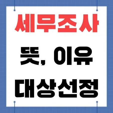 세무조사