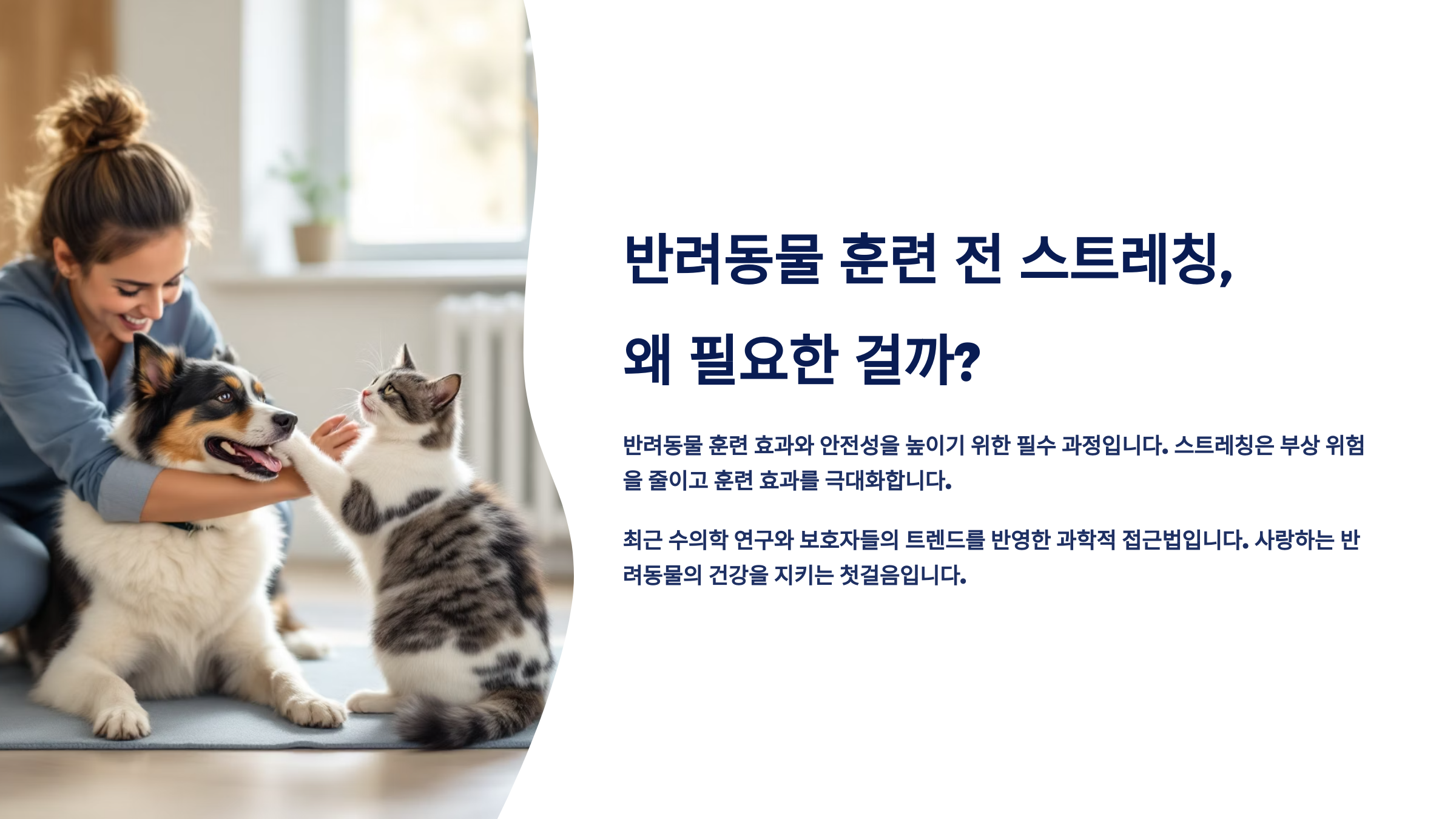 반려동물 훈련 전 스트레칭, 왜 필요한 걸까?