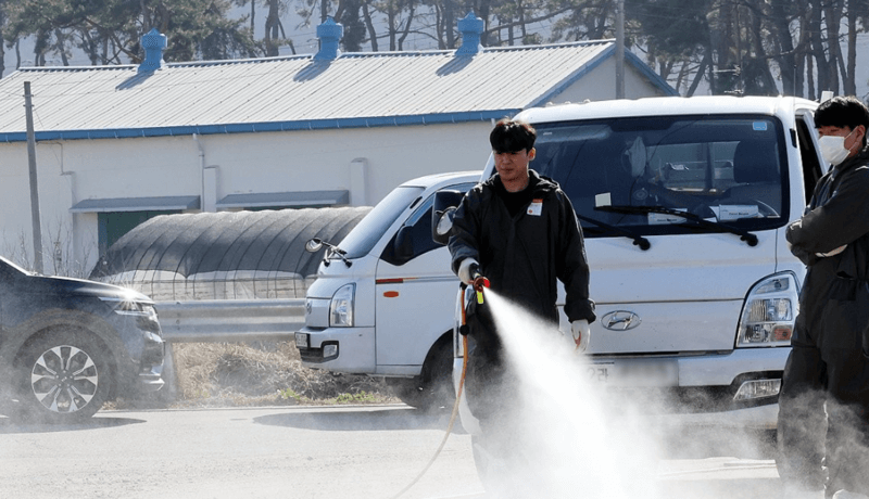 구제역 위기경보 ‘심각’ 단계… 전남 전역 확산에 방역 총력전