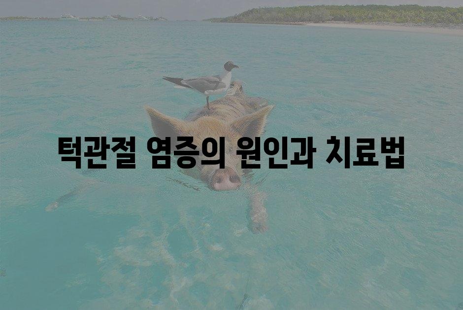 샘플 (1)