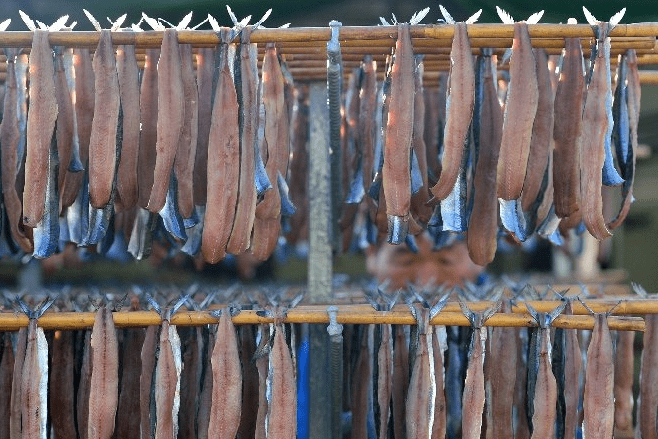 과메기