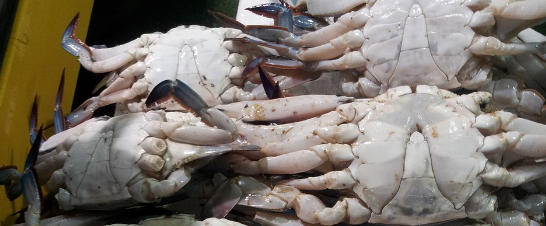 가평 펜션 탐방하기