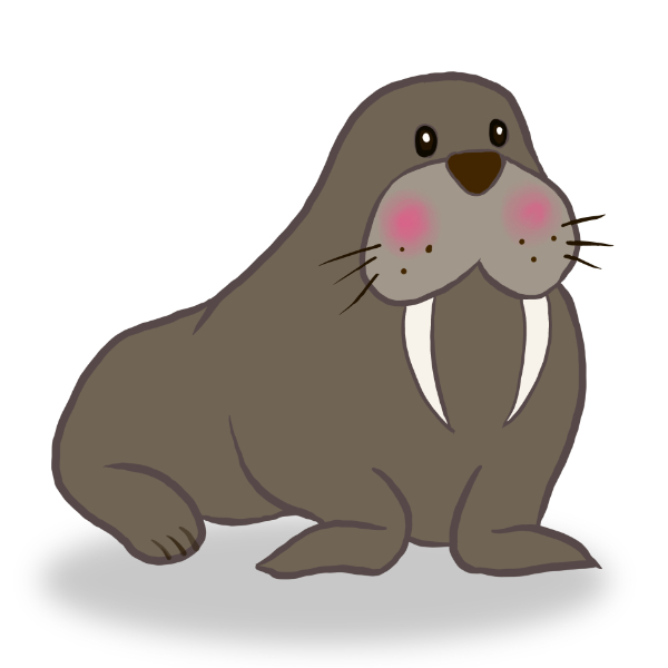 바다코끼리