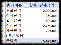 피부관리 매출분석 엑셀 한방에! 매출 피벗테이블로 빠르게 쉽게 한눈에~ 샵 매출분석 양식