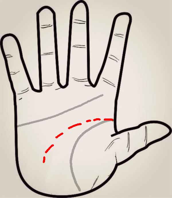 주의력 부족한 손금